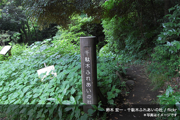 本郷・千駄木まち歩き03〜根津神社-猫の家跡-森鴎外記念館〜_写真04